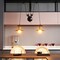 Modern Industrial Adjustable 2 Bulb Pulley Wired Ceiling Hanging Light Fixture, Black Decorative Chandelier